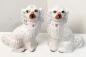 Preview: Weisse Keramik Hunde